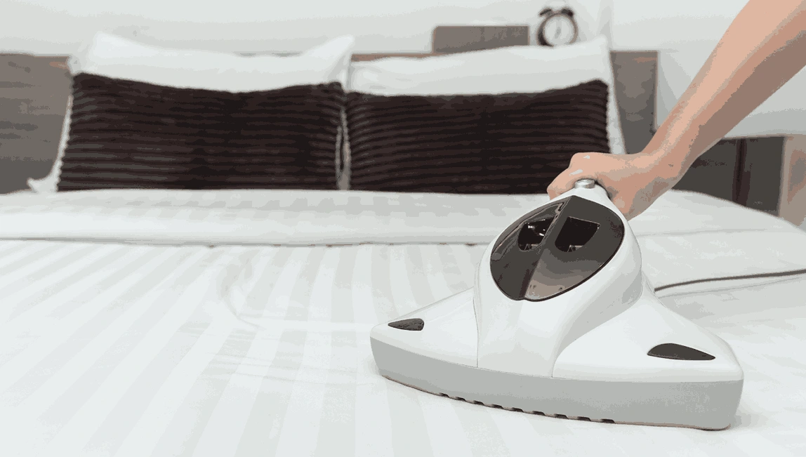 Professional Mattress Cleaning Edithvale